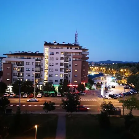 Ypsos Starcevica *